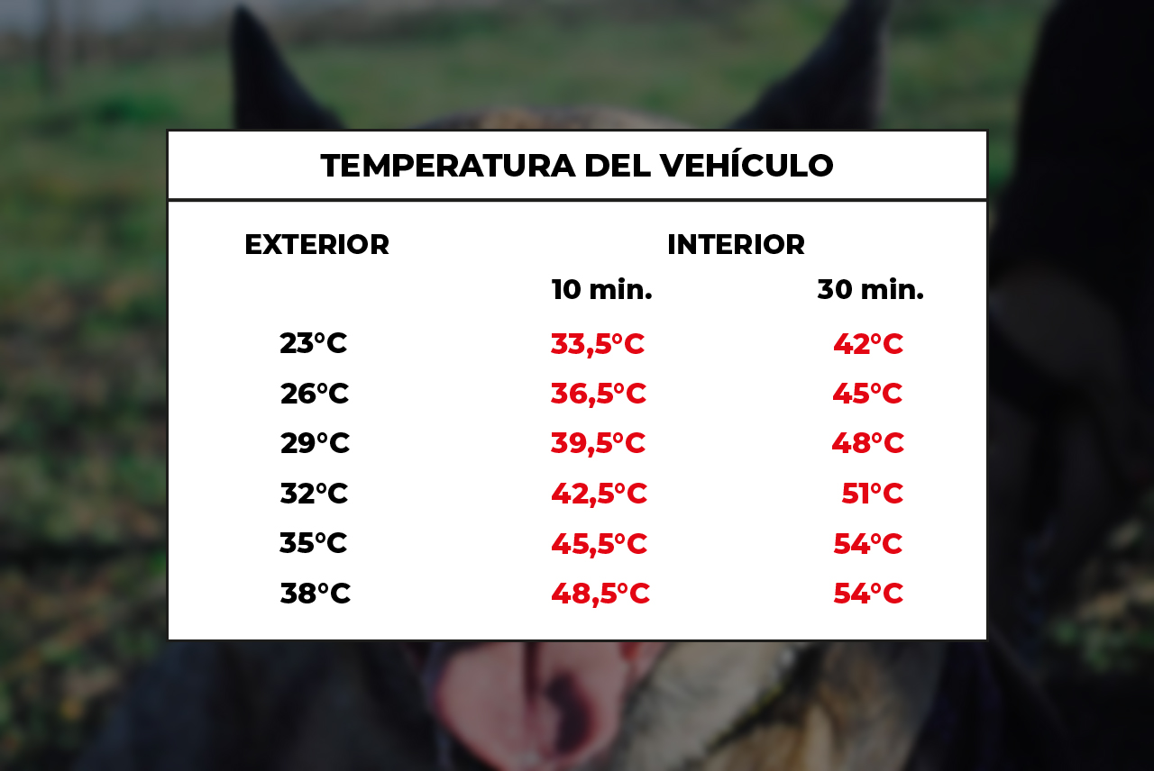 Temperatura del vehículo